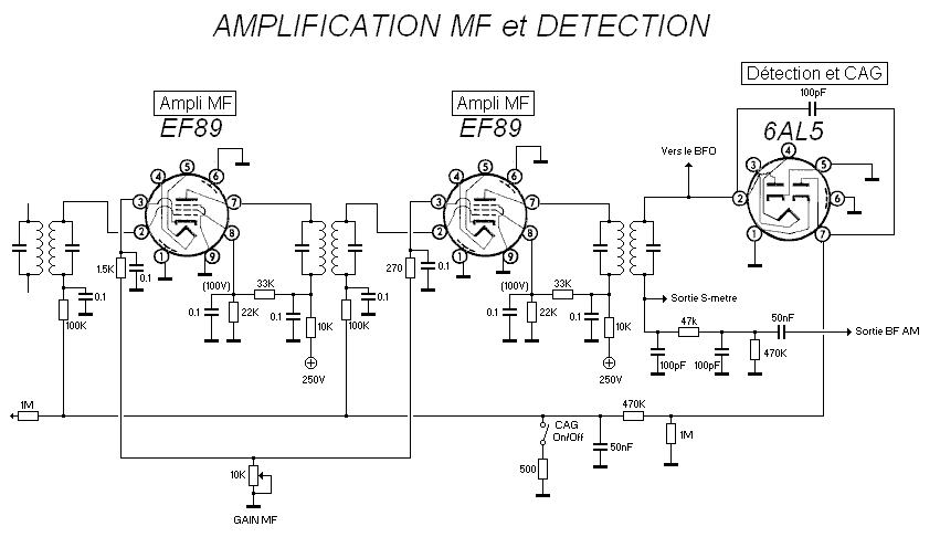 amplification%20MF%20detection%202.jpg